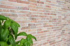 mosaik ws bali brick uni rossoverona 25-105x15x7