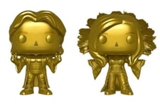 Funko Pop! WWE - Ric And Charlotte Flair (Gold Special Edition) 2pk (US IMPORT)