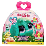 Little Live Pets Scruff-a-Luvs Blossom Bunnies Mystery Bunny Reveal