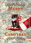 Lip International Julkort med kuvert - God Jul kattunge (Fraktfritt)
