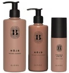 Björk Höjd Trio