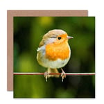 Wee Blue Coo CARD CHRISTMAS XMAS MERRY RED BREAST ROBIN CUTE