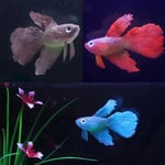 Betta Aquarium Fish Tank Ornament Decor Artificial Soft Silicone A3