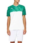 PUMA Cup Men's Jersey, mens, T-Shirt, 703773-07_M, lemon tree, M