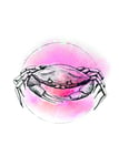 Komar Tableau Mural | Aquarelle de Crabe | Poster Photo Décoration Salon Chambre Décoration Art Print | sans Cadre | P080B-50x70 | Dimensions : 50 x 70 cm (Largeur x Hauteur)