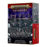 Vanguard - Hedonites of Slaanesh 23