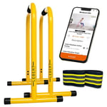 Lebert Fitness Support de Barre de dips – Original Equalizer Total Body Strengthener Barre de Traction Équipement d'exercice de Gym à Domicile Station de trempage – Bande de résistance des Hanches,