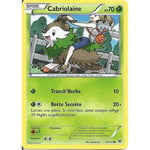 Carte Pokemon - Cabriolaine - Pv 70 - 16/162 - Commune - Vf