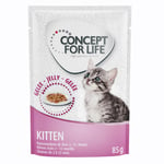 Concept for Life Maine Coon Kitten - paranneltu koostumus! - lisäksi: 12 x 85 g Concept for Life Kitten in Jelly