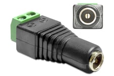 Delock Adapter DC 2.1 x 5.5 mm female > Terminal Block - strømforsyningsadapter - 2 pins terminalblok til DC-stik 2,1 mm