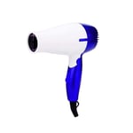 HQSC Hair dryer Portable Hair Dryer Folding Compact Traveller Blower Low Power School Students Air Blower 1Pc (Color : Blue, Plug Type : EU)