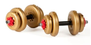 York Fitness 15Kg Adjustable Vinyl Strength Training Dumbbell Weight Set, Gold