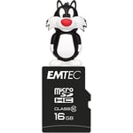 Pack Support de Stockage Rapide et Performant : Clé USB - 2.0 - Série Licence - Hanna Barbera - 16 Go + Carte MicroSD - Classe 10-16 GB