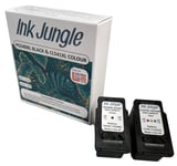 Ink Nation PG540XL Black & CL541XL Colour Cartridge For Canon PIXMA MG3250
