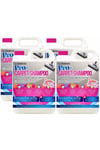 Carpet Cleaning Shampoo Odour Remover 4 x 5L Spring Bloom Fragrance