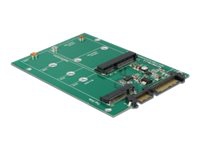 Delock Converter SATA 22 Pin > 1 x M.2 NGFF + 1 x mSATA - Adapter för lagringsfack - 2,5-tums till mSATA/M.2