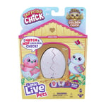 Little Live Pets Surprise Chick Pink Box