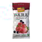 Torkad Frukt Exotic Snacks Bara Jordgubb Hallon Svartvinbär 55g