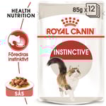 Royal Canin Instinctive Gravy Adult Våtfoder för katt 85 g x 12 st