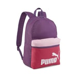 PUMA Phase Backpack Colorblock
