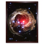 Hubble Space Telescope Image Light Echo Illuminates Dust Spiral Around Red Supergiant Star V838 Monocerotis Explosion Art Print Framed Poster Wall Dec