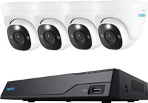 Reolink Nvs8-8Md4, Kabel, Kupol-Formad, Rj-45, Inomhus / Utomhus, 700 Lm, 6500 K