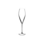 Atelier Prosecco Champagneglass, 2 Stk.