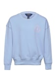 Drapey Terry-Bubble Po Cn-Kn-Sws Tops Sweat-shirts & Hoodies Sweat-shirts Blue Ralph Lauren Kids