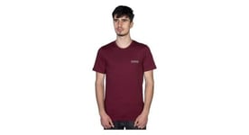 T shirt staystrong authentic box burgundy