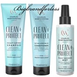 CHARLES WORTHINGTON Clean + Protect Scalp Caring Hair Shampoo .Conditioner.spray