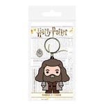 Harry Potter Porte-clés en caoutchouc Multicolore 4,5 x 6 cm