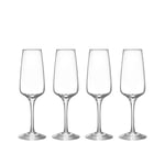 Orrefors - Pulse champagneglas 28 cl 4-pack - Champagneglas