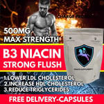 B3 Niacin 300 Capsules 500mg Vitamin Healthy Skin Arthritis Brain Hydration NAD