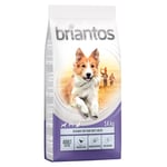 10 % rabatt! 12/14 kg Briantos torrfoder - Adult Active Fjäderfä & ris (14 kg)