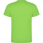 Kruskis Hippie Van Mtb Short Sleeve T-shirt Grönt 3XL Man