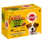 Pedigree Adult Pouch Multipack - Ekonomipack: 4 sorter i sås 96 x 100 g