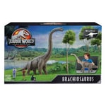Mattel Jurassic World Super Colossal Brachiosaurus Dinosaur 28" High 34" Long