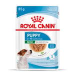 Royal Canin Mini Puppy i sås - 48 x 85 g