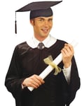Examenshatt - Graduate Hat