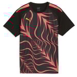 PUMA Träningströja individualLIGA Graphic - Svart/Rosa/Orange Barn, storlek 128 cm