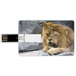 64G USB Flash Drives Credit Card Shape Safari Decor Memory Stick Bank Card Style Big Lion with Little Cub Stone Cave Playful Sweet Tenderness Animal Affection Nature Waterproof Pen Thumb Lovely Jump D