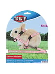 Trixie Harness with leash small rabbits 20-33 cm/8 mm 1.25 m - Assorted