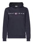 Reg Printed Graphic Hoodie Blue GANT