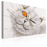 Billede - Grey Cat - 30 x 20 cm - Premium Print