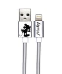 ERT GROUP Iphone Lightning 1m USB CABLE original and officially licensed Disney MICKEY MOUSE KISSING Silver