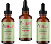 Mielle/Rosemary Mint/Scalp & Hair Strengthening Oil/Healthy Growth / 2... 