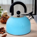 Whistling Stovetop Kettle Sky Blue Stainless Steel Gas Electric Induction Hobs