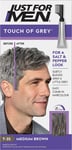 Just for Men Touch of Grey, Medium Brown Hair Dye, No Mix Comb-In Applicator for