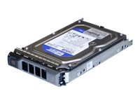 Origin Storage Nearline - Hårddisk - 500 GB - hot-swap - 3,5 - SAS - 7200 rpm - för Dell PowerEdge R410, R510 (3,5), R710 (3,5), T410 (3,5), T610 (3,5), T710 (3,5)