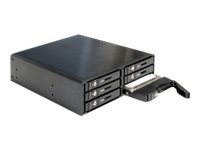 Delock 5.25 Mobile Rack for 6 x 2.5 SATA HDD / SSD - Hållare för lagringsenheter - 2.5